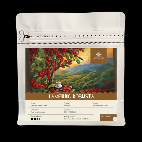 Lampung Robusta